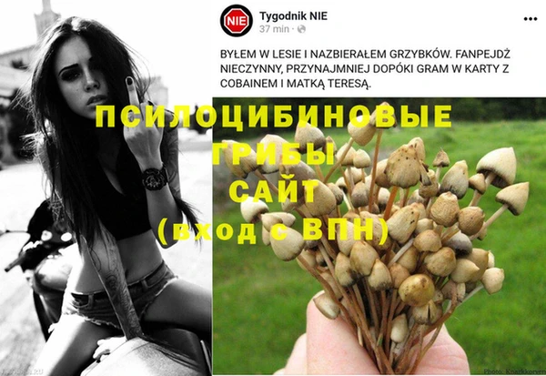 спайс Беломорск
