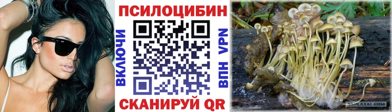 Галлюциногенные грибы мицелий  Котлас 